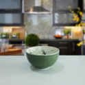 Bát cơm bầu vẽ chuồn