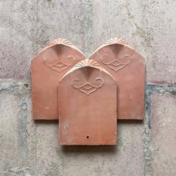 ngoi mui hai co ngoi mui hai co