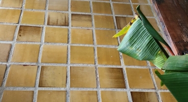 Gạch lát nền của anh nguyên KTS tại Xuân Mai Hoà Bình