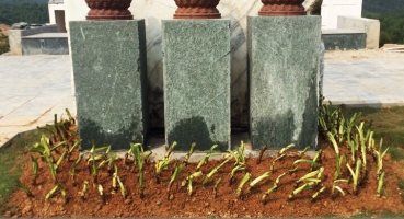 Chùa Lâm Hà Diễn Châu Nghệ An hinh 1