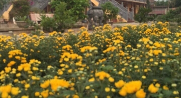 Chùa Sùng Ninh và Chùa Biện Sơn tỉnh Vĩnh Phúc hinh 1