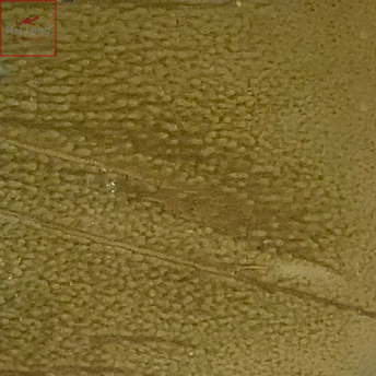 map gạch men hanh vàng