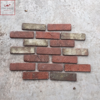 Gạch cổ ốp tường phối màu trộn tuyệt đẹp kt 55x200x14 mm 01