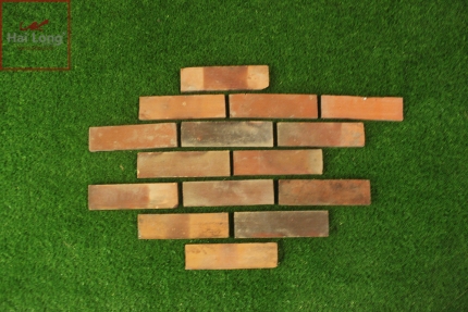 Gạch thẻ ốp tường 220x60x15 mm 01