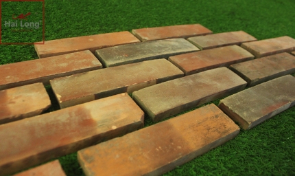 Gạch thẻ ốp tường 220x60x15 mm 01