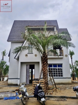 ngói phẳng ManVillas